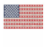American Pirate Flag t-shirts