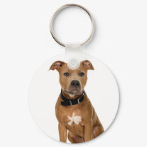 American Pit Bull keychains