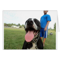 American Pit Bull Terrier- A Family Dog Greeting Cards