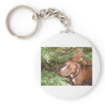 American Pit Bull Terrier- A Family Dog Key Chain