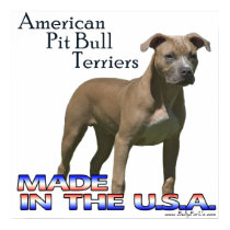 American Pit Bull Terrier (APBT) Poster posters by BullyForUs American Pit Bull Terrier (APBT) Poster posters