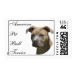 American Pit Bull Terrier (APBT) Stamp