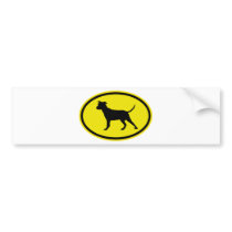 American Pit Bull Terrier Bumper Sticker