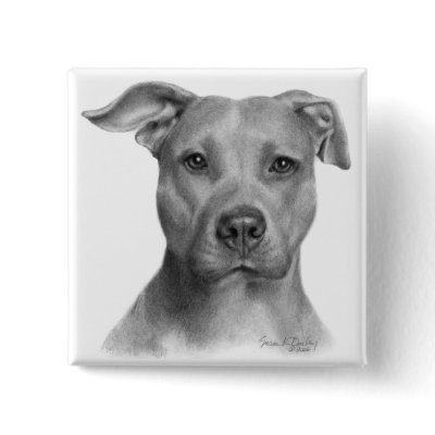 American Pit Bull Terrier Button by petspictured