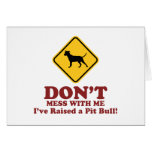 American Pit Bull Terrier