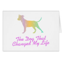American Pit Bull Terrier Card