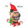 American Pit Bull Terrier Christmas Gifts Sticker