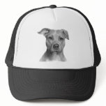 American Pit Bull Terrier Hats
