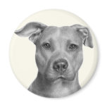 American Pit Bull Terrier Refrigerator Magnet