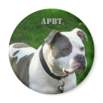 American Pit Bull Terrier Magnet