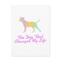 American Pit Bull Terrier Post Card