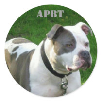 American Pit Bull Terrier Sticker