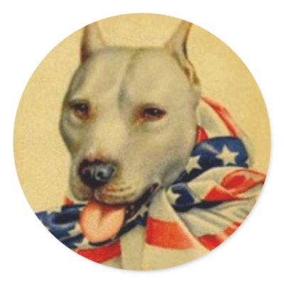 AMERICAN PIT BULL TERRIER STICKER by redvalley