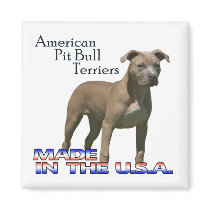 American Pit Bull Terriers : Square Magnet
