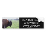 American Plains Buffalo Bison Bumpersticker Bumper Sticker