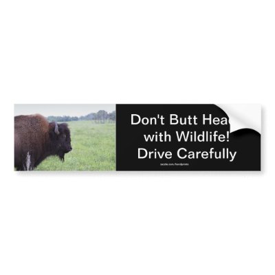 American Plains Buffalo Bison Bumpersticker Bumper Sticker by HANDPRINTS