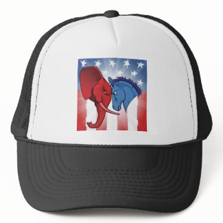 American politics hat