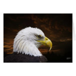 American Pride Greeting Card - Bals Eagle Greeting