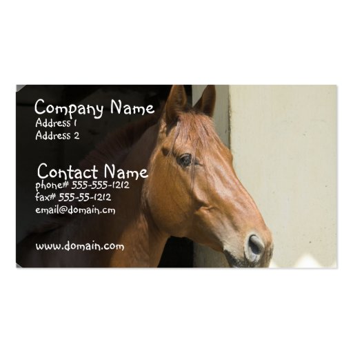 American Quarter Horse Business Card (front side)