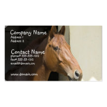American Quarter Horse Business Card