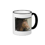 American Quarter Horse Coffee Mug