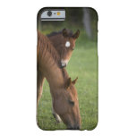 American Quarter horse mare and colt in field at Barely There iPhone 6 Case