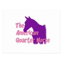 American Quarter Horse Post Cards