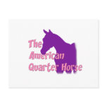 American Quarter Horse Post Cards