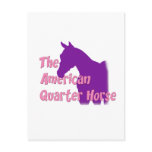 American Quarter Horse Post Card