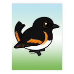 American Redstart Post Cards