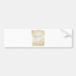 american revolutionary soldier patriot bumper stickers