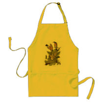 American Robin aprons