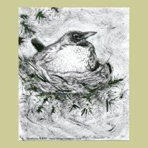 American Robin -bird Poster or Fine Art Print posters