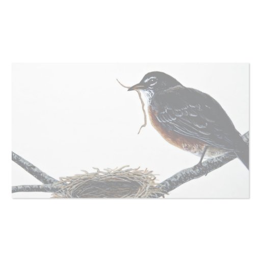 American robin building a nest business cards (back side)