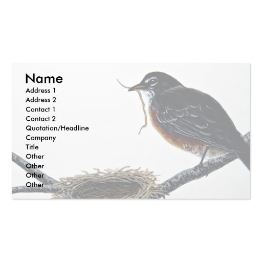 American robin building a nest business cards (front side)