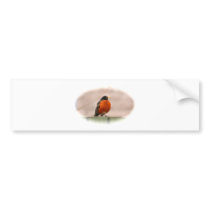 American Robin Bumper Sticker