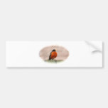 American Robin Bumper Sticker