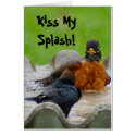 American Robin Card by SuRi_Photography American Robin Card