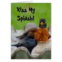 American Robin Card cards
