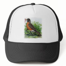 American Robin Hats