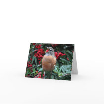American Robin • Joe Sweeney - card