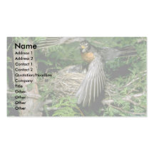 American Robin landing on nest Business Cards