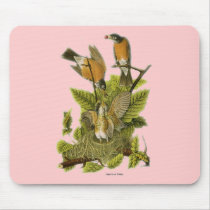 American Robin mousepads