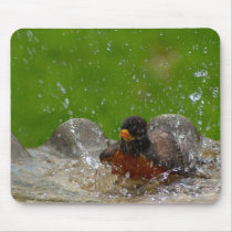 American Robin Mousepad mousepads