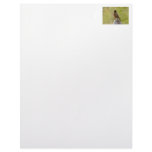 American Robin on a Cookie Jar Letterhead Template