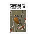 American Robin Postage