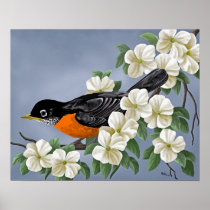 American Robin Print