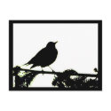 American Robin Silhouette Postcard by naturalphotos American Robin Silhouette Postcard