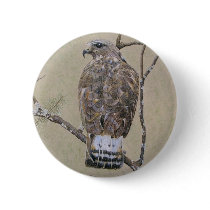American Rough-legged Buzzard buttons by fhooper American Rough-legged Buzzard buttons