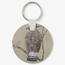 American Rough-legged Buzzard keychains by fhooper American Rough-legged Buzzard keychains